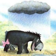 thumbnail of your picture 2